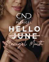 PLEXIGEL MONTH  Blog - PLEXIGEL Pro! - With Sarah Marr